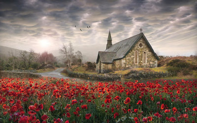 Landscape-from-Ireland-Field-with-Red-Bullies-Church-St.-Patrick-stork-in-flight-dark-clouds-3840x2400.jpg