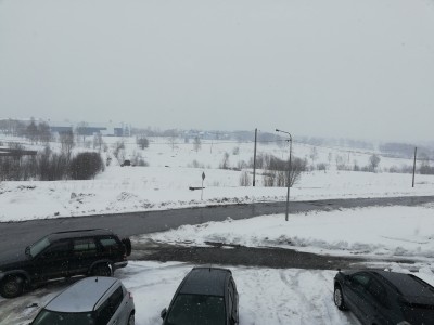 IMG_20200423_113525.jpg