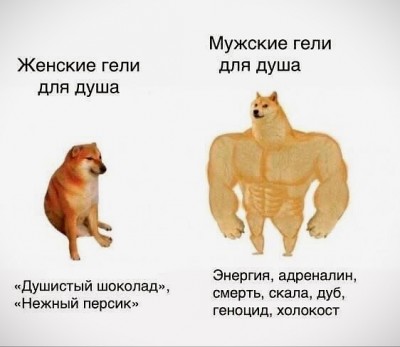 7645314.jpeg