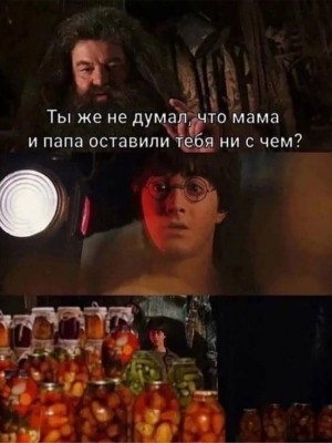 Гарри-Потер-Поттериана-Хагрид-соленья-7692417.jpeg