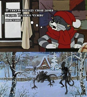 r1iW3ymCfCM.jpg