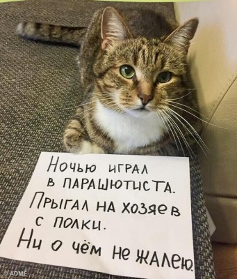 3D573E7B-4E06-4017-A14F-A1E63BC9674C.jpeg