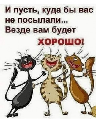 1445F952-06BD-4282-9193-19A30CF5FC26.jpeg