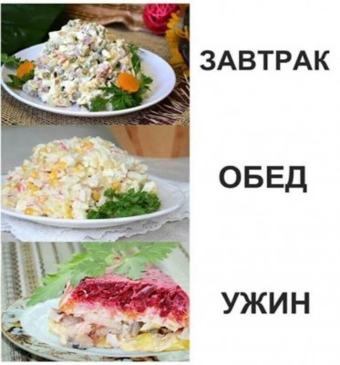 7767796.jpeg
