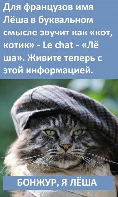 IMG-20230211-WA0000.jpg