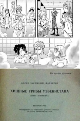 7834262.jpeg