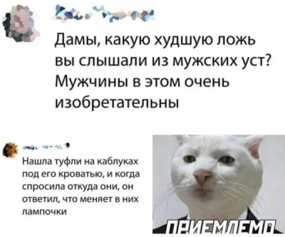 смешные-картинки-7847705.png