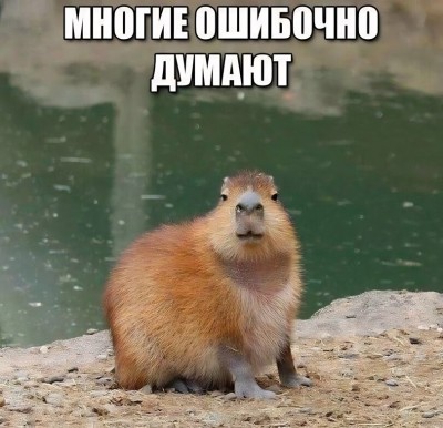 7864671.jpeg