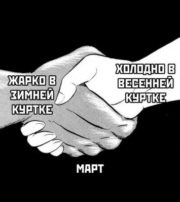 7874357.jpeg