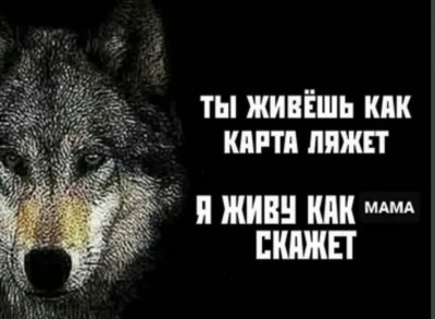 юмор-волк-мама-жизнь-7875589.jpeg