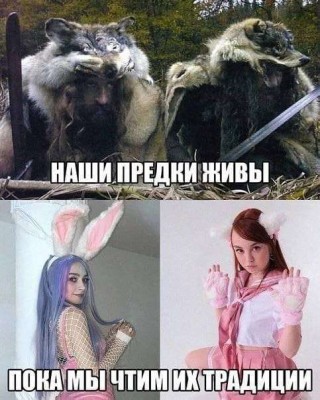 7883044.jpeg