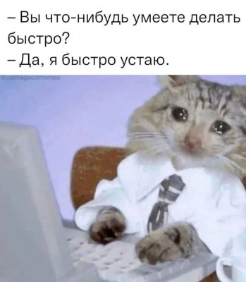 7897213.jpeg