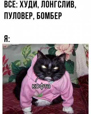 8981390.jpeg