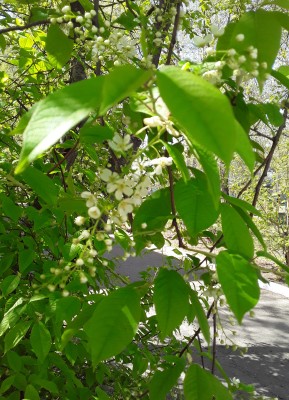 20200504_133904.jpg
