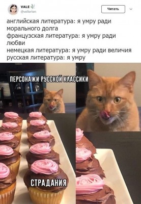 ml3Bm_hsulg.jpg