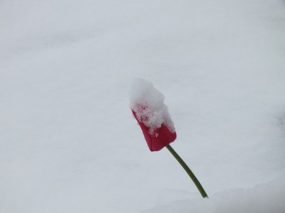 S0018001.JPG