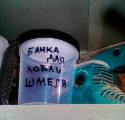 гифки-шмель-насекомые-жопа-шмеля-3768497.jpeg