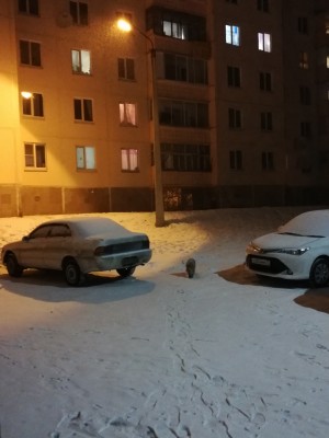 IMG_20191202_193617.jpg