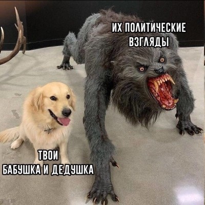 pW5ttFkMP3E.jpg