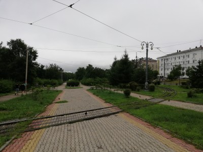 IMG_20200802_173539.jpg