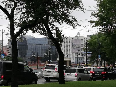 IMG_20200803_171031.jpg