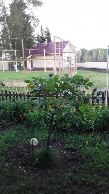 20200807_202714.jpg