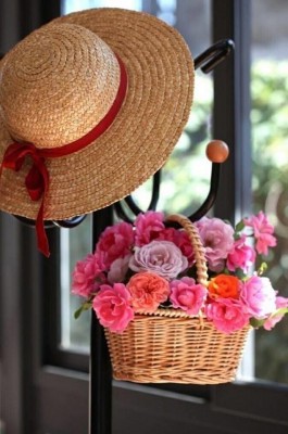 C8AD3C87-BC68-47BA-BF08-E931018C8DB3.jpeg