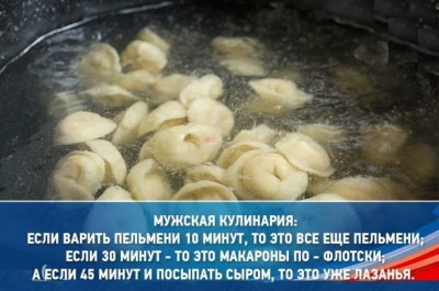 котики-суп-еда-песочница-3883478.jpeg