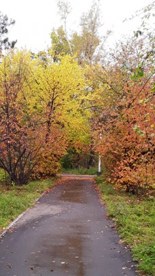 20200921_114101.jpg