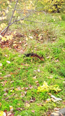 20200921_114107.jpg