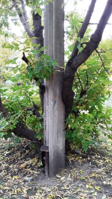 20200925_121454.jpg