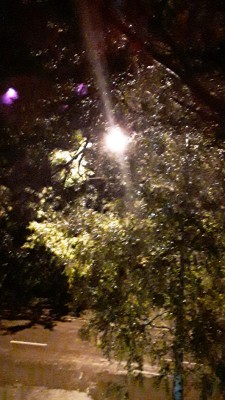 20200919_201414-1.jpg
