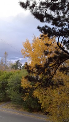 20200925_180731.jpg