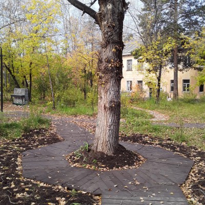 20200929_123538.jpg