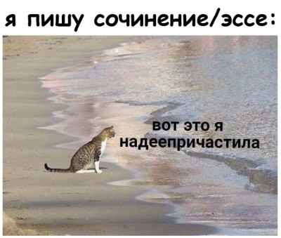 EdqhzllrfHU.jpg