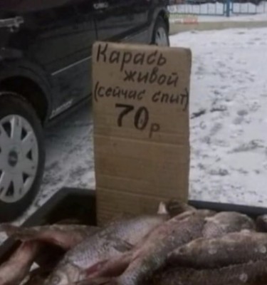 карась-рыба-спит-6303699.jpeg