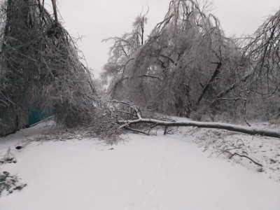 20201120_075057.jpg