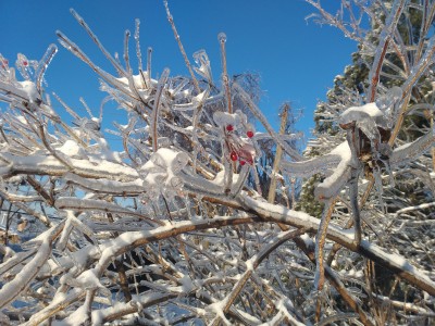 20201121_092404.jpg