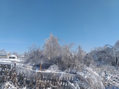 20201121_125844.jpg