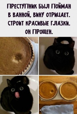 160766327714175707.jpg