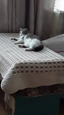 20201205_153026.jpg