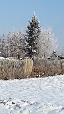 20201213_121814.jpg