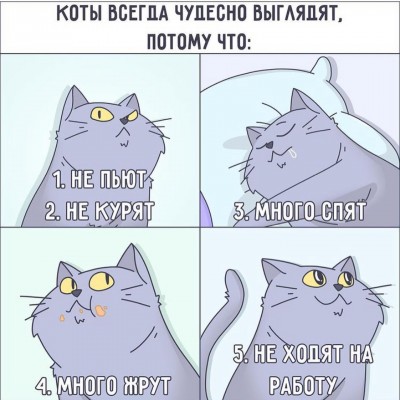 котэ-комиксы-на-русском-комикс-6424966.jpeg