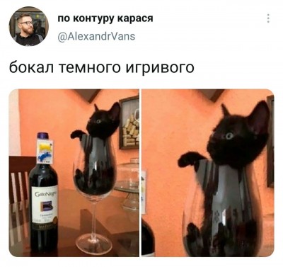 песочница-котэ-вино-бухло-6507182.jpeg