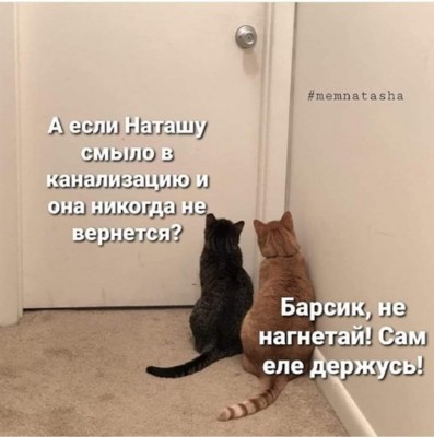 котизм-6779628.jpeg