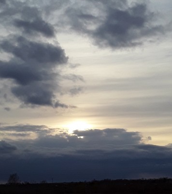 20211003_174731-2.jpg