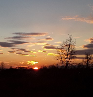 20211005_182708-1.jpg