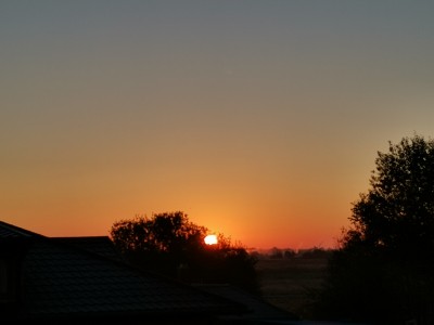 IMG_20211009_065540.jpg