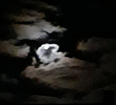 20211017_202059.jpg