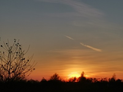 IMG_20211029_165419.jpg